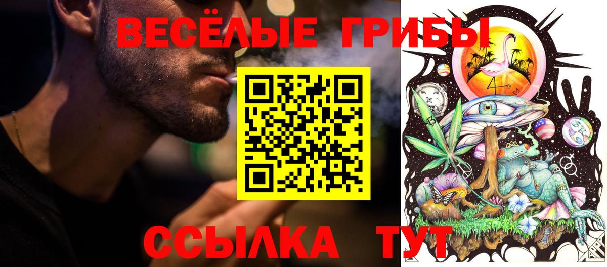 Псилоцибиновые грибы Psilocybine cubensis Кстово